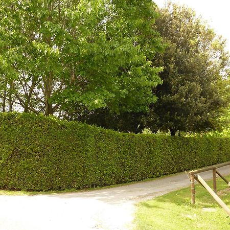 Il Nido Villa Lucca Exterior foto
