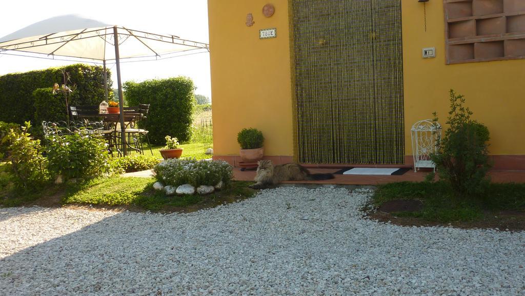 Il Nido Villa Lucca Exterior foto